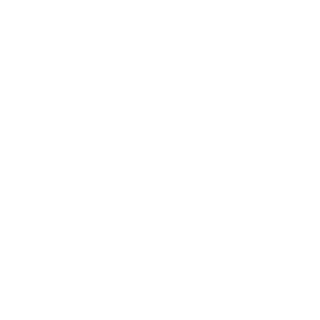 Buy It Store