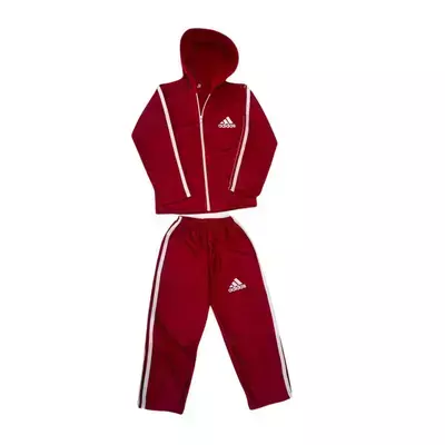 Conjunto Agasalho Outono-Inverno Infantil Juvenil Flanelado TAM 02 - comprar online