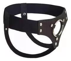 ARNES PARA DILDO