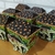 PEGUE E MONTE - Kit Caixas Personalizadas Safari Baby - (cópia) - comprar online