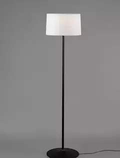 LUCI en internet