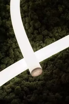 MAGIC