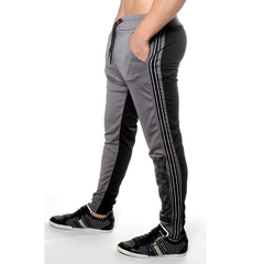 PANTALON LION HOMBRE (BSPALIO)