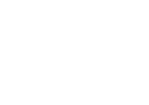 Grunge Brewing Co.