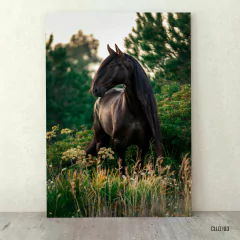Caballos 100 - comprar online