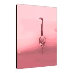 Flamencos 101