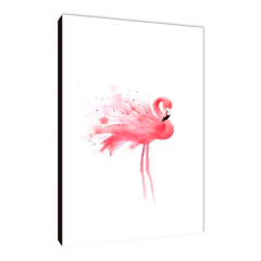 Flamencos 113