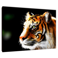 Tigres 128 - comprar online