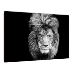 Leones 130