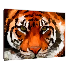 Tigres 137
