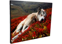 Portallaves de pared Lobos 14 - comprar online