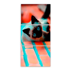Tríptico simple Gatos 15