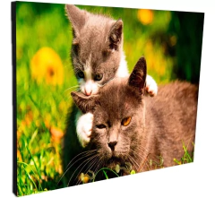 Portallaves de pared Gatos 150
