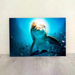 Animales Varios 154 - comprar online