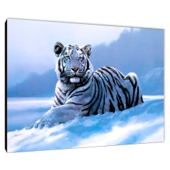 Tigres 16 - comprar online