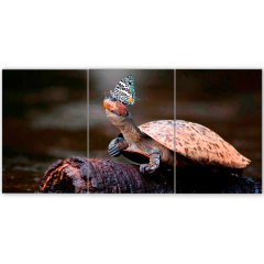 Tríptico simple Animales Varios 161