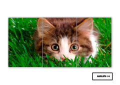 Tríptico simple Gatos 16 - comprar online