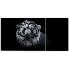 Tríptico simple Tigres 162