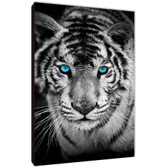 Tigres 176 - comprar online