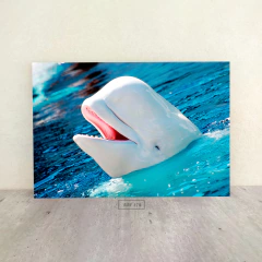 Animales Varios 176 - comprar online
