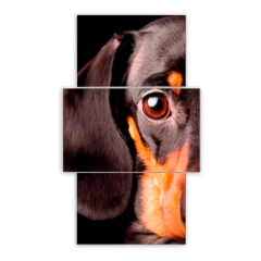 Tríptico escalonado Perros 18