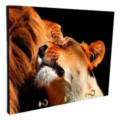 Portallaves de pared Leones 183