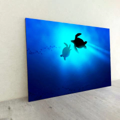 Animales Varios 196 en internet
