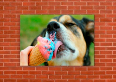 Perros 197 - tienda online