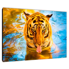 Tigres 20 - comprar online