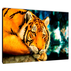 Tigres 210 - comprar online