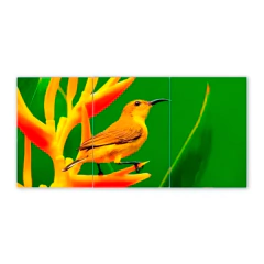 Tríptico simple Pájaros 22