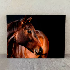 Caballos 2 - comprar online