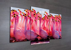 Tríptico escalonado Flamencos 22 - comprar online