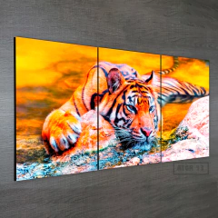 Tríptico simple Tigres 23 - comprar online