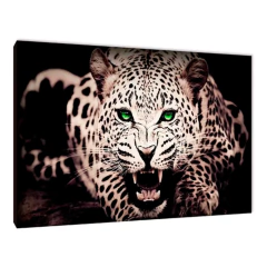 Leopardos 25