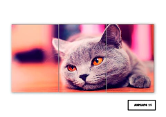 Tríptico simple Gatos 25 - comprar online