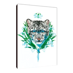 Leopardos 27