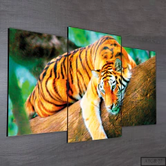 Tríptico escalonado Tigres 27 - comprar online