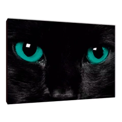 Gatos 30