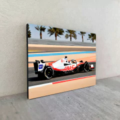 Haas 3 en internet