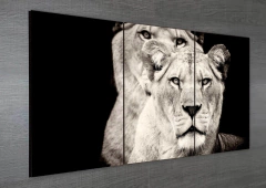 Tríptico simple Leones 37 en internet