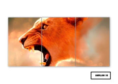 Tríptico simple Leones 38 - comprar online