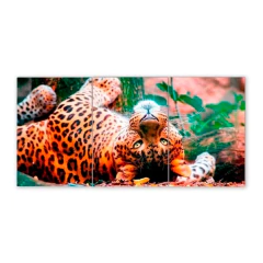 Tríptico simple Leopardos 43