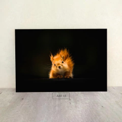 Animales Varios 45 - comprar online