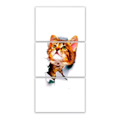 Tríptico simple Gatos 46