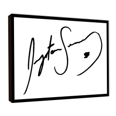 Ayrton Senna 5