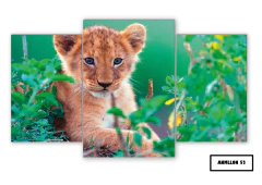 Tríptico escalonado Leones 52 - comprar online