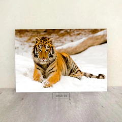 Tigres 56 en internet