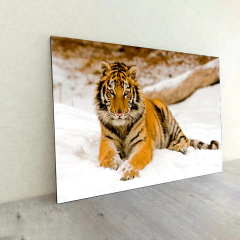 Tigres 56 - MetaXroma
