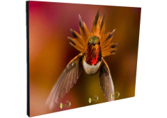 Portallaves de pared Pájaros 59 - comprar online